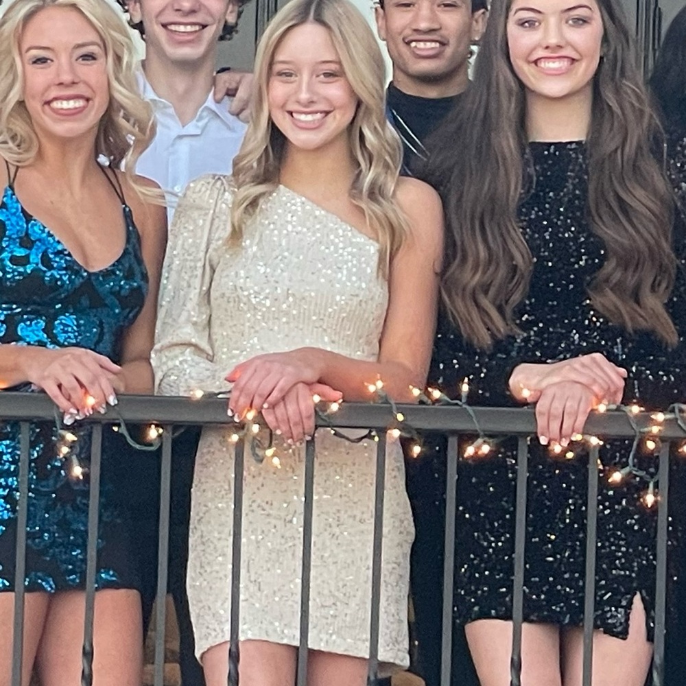 The Impeccable Pig Cream Sequin Dress